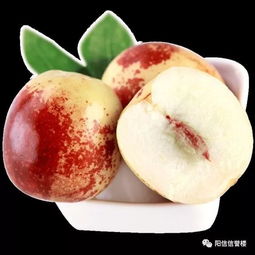 二樓超市黃驊冬棗品鑒展示會